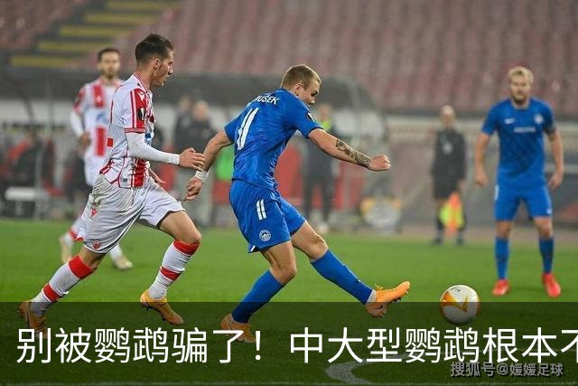 别被鹦鹉骗了！中大型鹦鹉根本不是宠物，是会飞的野生猛禽！