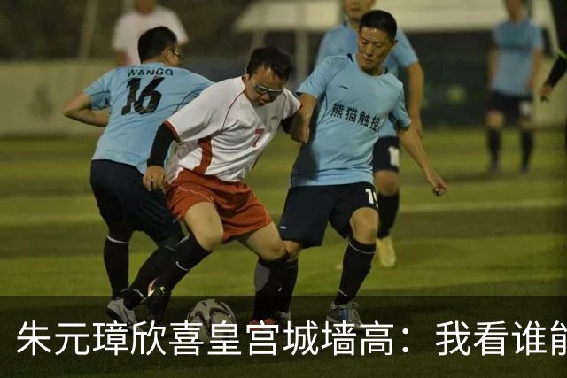 朱元璋欣喜皇宫城墙高：我看谁能越过它。刘伯温却说：燕子能飞过。46年后燕王朱棣登基